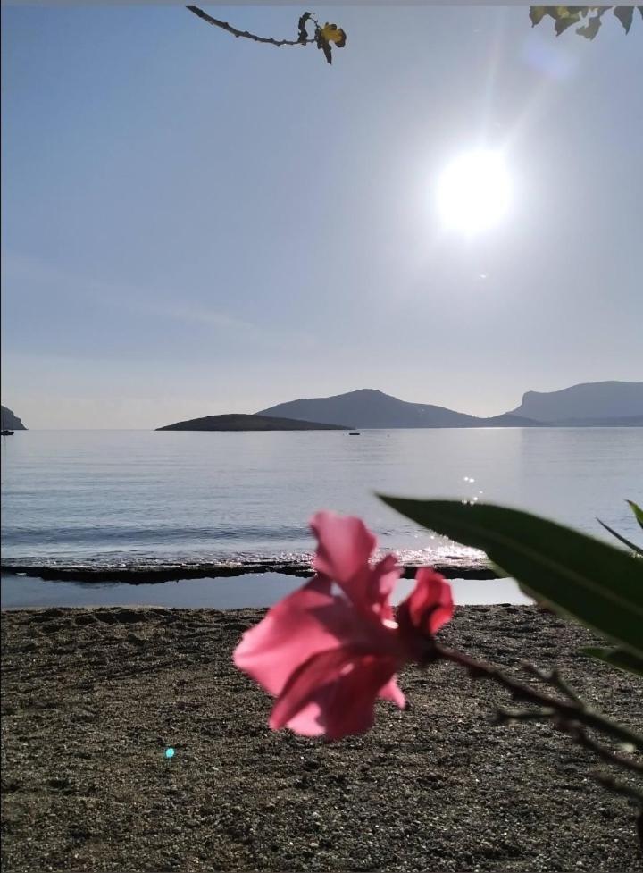 Apartment Artemis Sea House Porto Rafti
